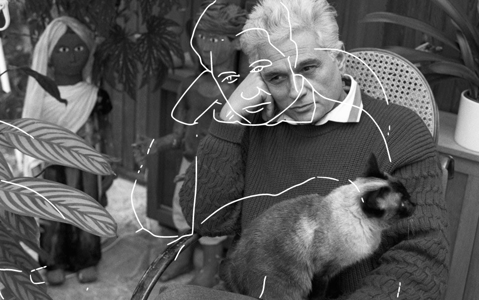 A gata de Derrida: breve tentativa de abordar a questão dos direitos dos animais (parte 2)